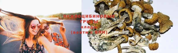 не бодяженный Богданович