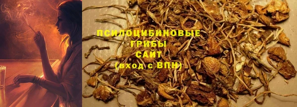 мдпв Беломорск