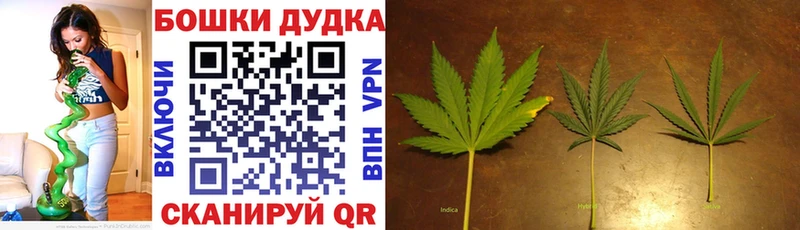 где продают   Саранск  даркнет официальный сайт  Канабис сатива 